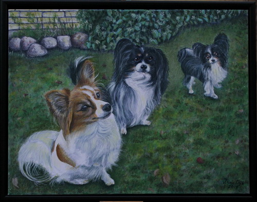 Sally, Chip og Elvis